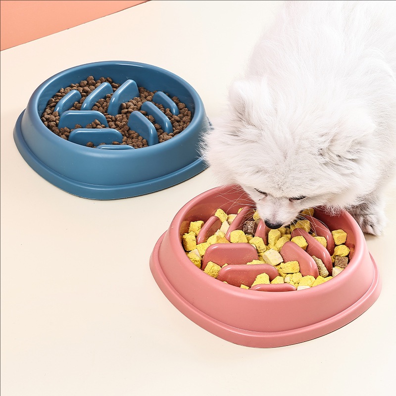 애완 동물 용품 개와 고양이 느린 음식 그릇 퍼즐 질식 - Baby Food Cat 리뷰 및 가격