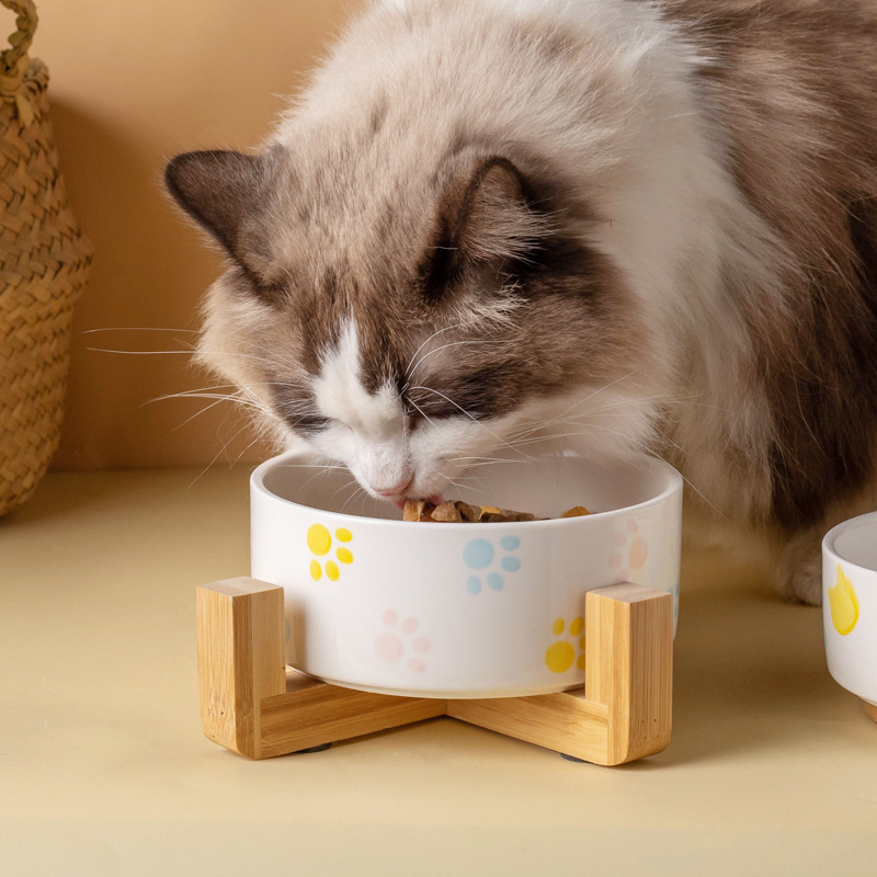 나무 매트가있는 도자기 개 그릇 넓은 입 먹이 그릇 고 - Baby Food Cat 리뷰 및 가격