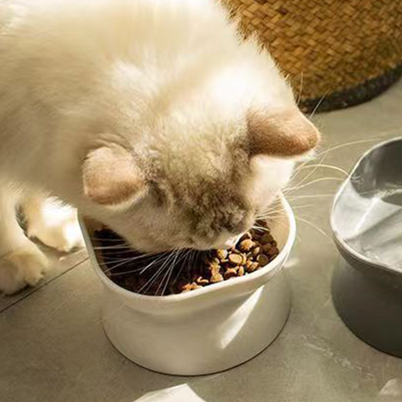 이중 목적 고양이/개 먹이 그릇, 높은 구토 방지 고양 - Baby Food Cat 리뷰 및 가격